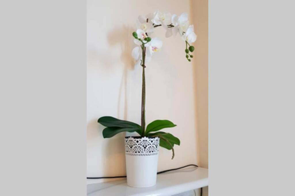 Cozy Modern Apartment Astoria Magic Orange Old Town 克拉科夫 外观 照片